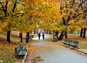 People walking down a sidewalk in the Boston Common with tree leaves in yellow and oranges of fall.