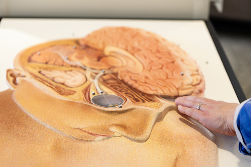 CLOSE-UP PHOTO OF TACTILE IMAGE DEPICTING THE VISUAL SYSTEM